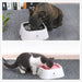 1.5l 4 Colour Floating Paw Shape Anti-slip Removable In-car