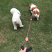 1 Leash For 2 Medium Dogs Traction Rope