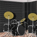 10 20pcs 18x18x30cm Acoustic Soundproof Foam Panel