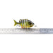 10cm 14g Plastic Bionic Hard Bait Lure