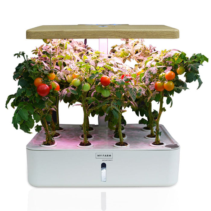 12 Pod Indoor Hydroponic Growing System With Water Level