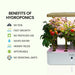 12 Pod Indoor Hydroponic Growing System With Water Level