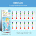 12 Sheet Watercolour Colouring Book Set with Brush 5 Colours