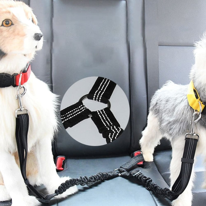 2 In 1 Car Seat Belt Leash For Dogs