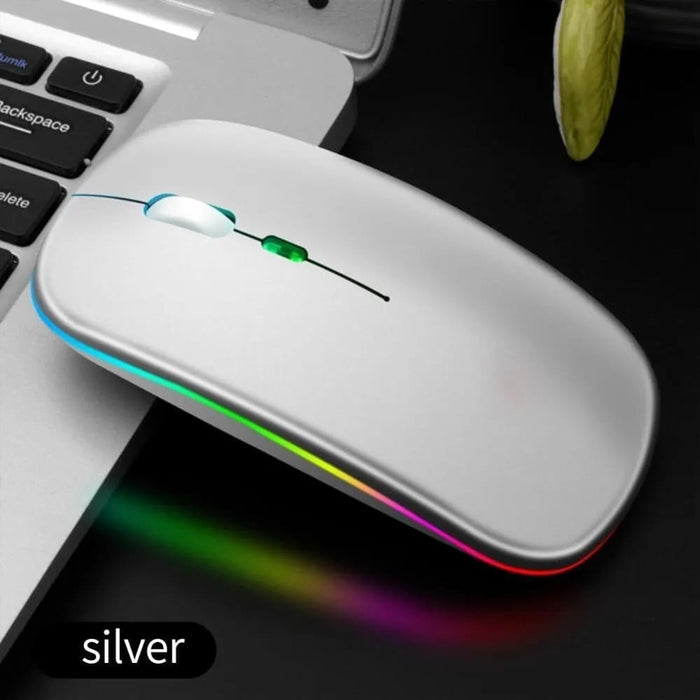 2.4g Rechargeable Wireless Gaming Mouse Portable Ergonomic