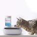 2 In1 Detachable Anti-spill Food Water Feeder Bowl