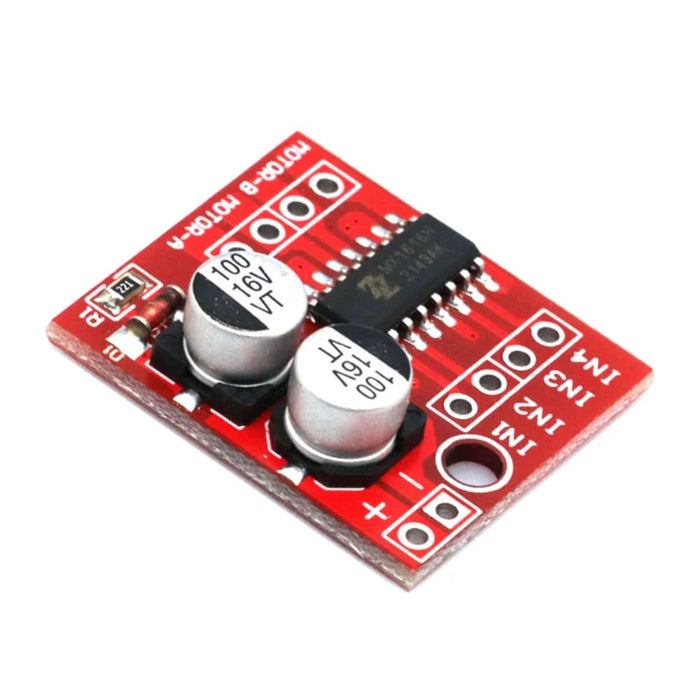 2 Way Dc Motor Driver Module