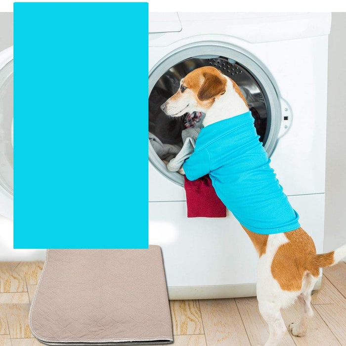 2pcs Waterproof Washable Training Pee Pads - King