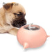 3 Nipple Silicone Pet Milk Feeder Bowl For Kittens Puppies