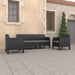 3 Piece Garden Lounge Set With Cushions Pp Rattan