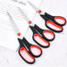 3 Piece Stainless Steel Scissors Set For Students