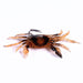 3 Piece Submerged Crab Hook For Ice Fishing 10cm 30g