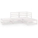 4 Piece Garden Lounge Set White Solid Pinewood Tbipaip