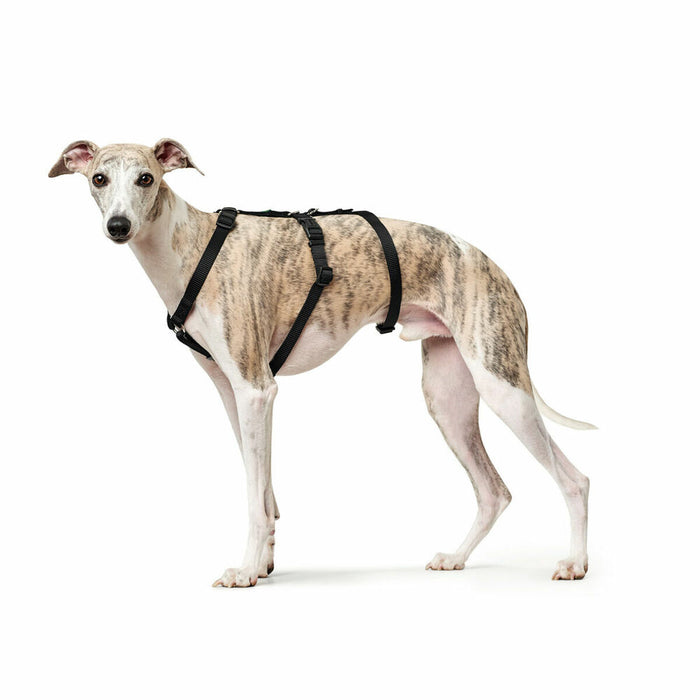 Dog Harness By Hunter Black L M L