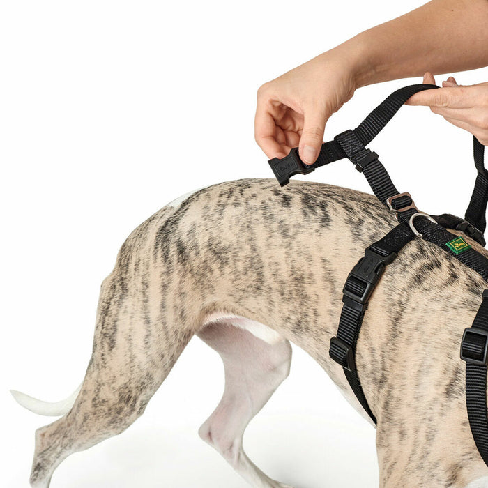 Dog Harness By Hunter Black L M L