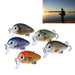 5 Piece Bionic Rock Fishing Lure Set With Plastic Box