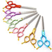 6.5 Inch Vg10 Steel Professional Pet Scissors Dog Grooming