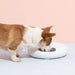 6 Meal Automatic Pet Dog Cat Food Feeder Dispenser