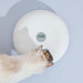 6 Meal Automatic Pet Dog Cat Food Feeder Dispenser