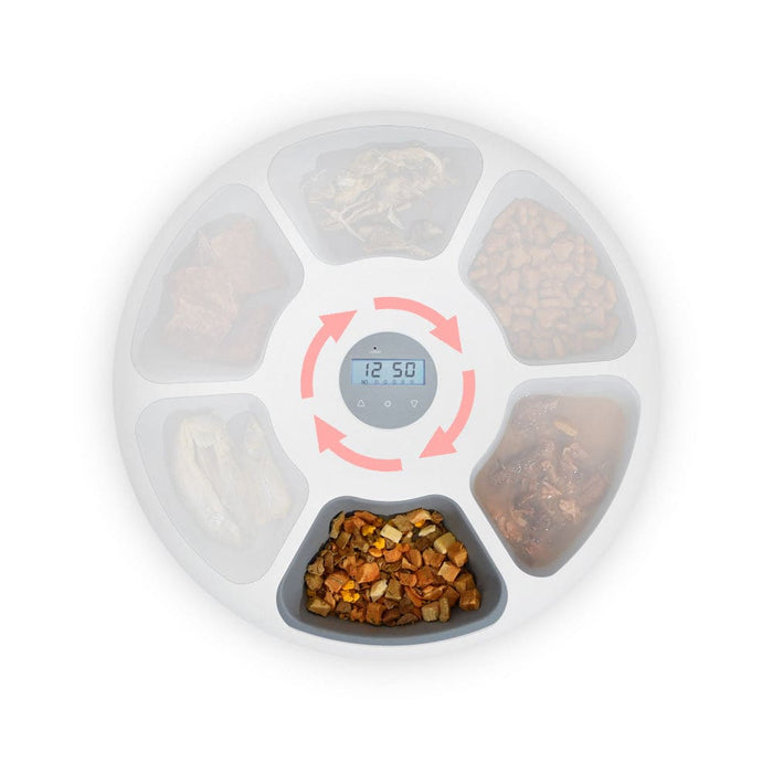 6 Meal Automatic Pet Dog Cat Food Feeder Dispenser
