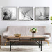 60cmx60cm Botanical Dandelions 3 Sets Black Frame Canvas