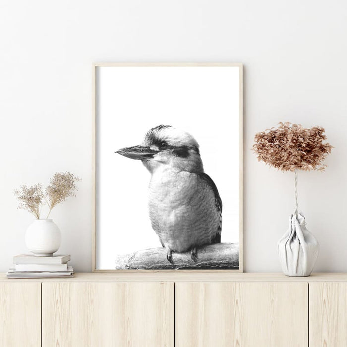 60cmx90cm Kookaburra Black Frame Canvas Wall Art