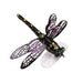 7cm/6g Bionic Dragonfly Flying Fishing Bait