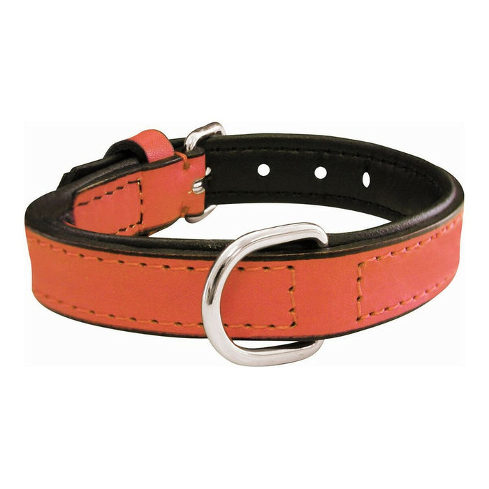 Dog Collar By Gloria Padded Coral 40 x 2 cm