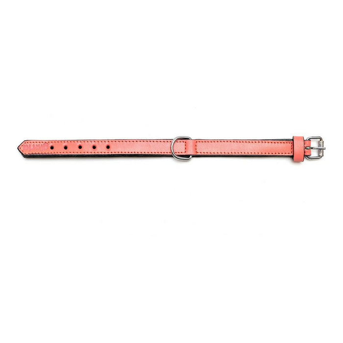 Dog Collar By Gloria Padded Coral 40 x 2 cm