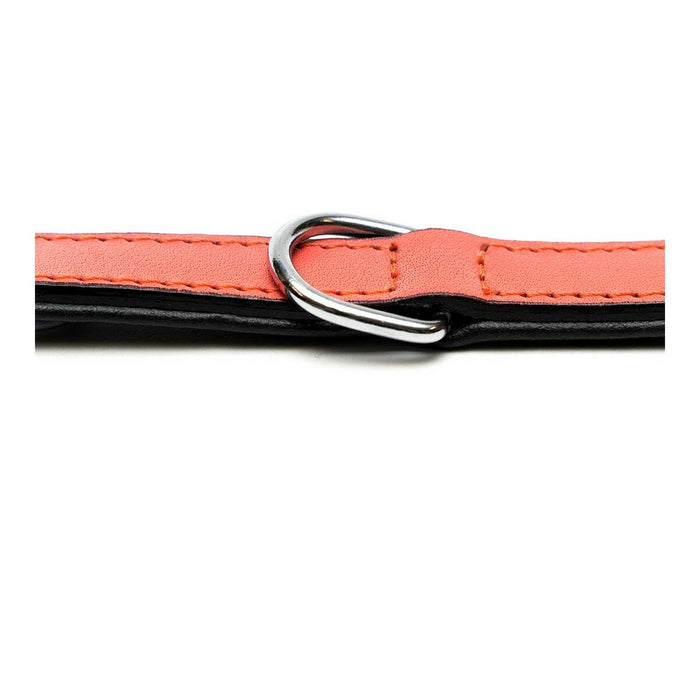 Dog Collar By Gloria Padded Coral 40 x 2 cm