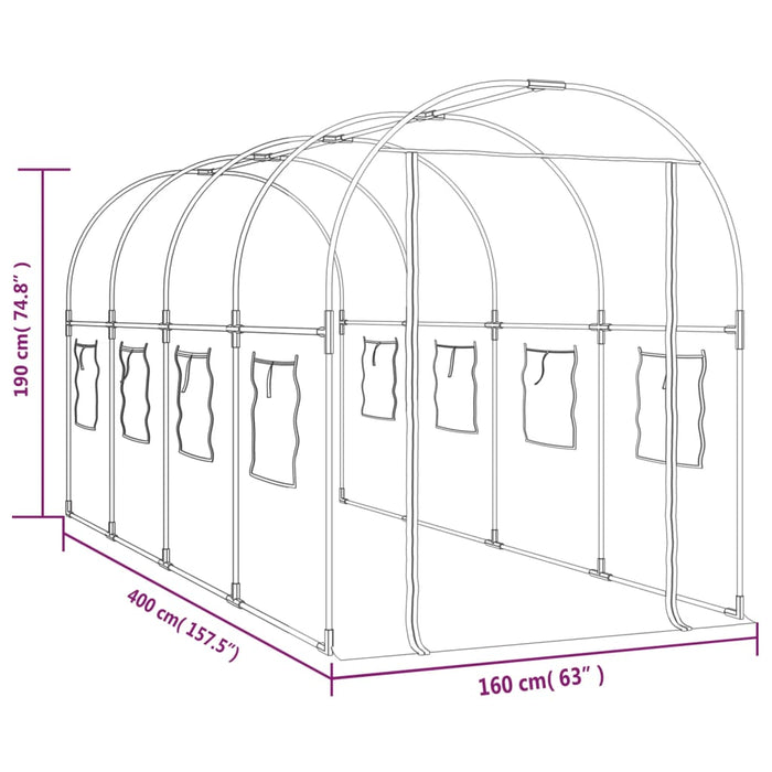 Greenhouse Transparent 160X400X190 Cm Pvc&Powder-Coated Steel Toixai