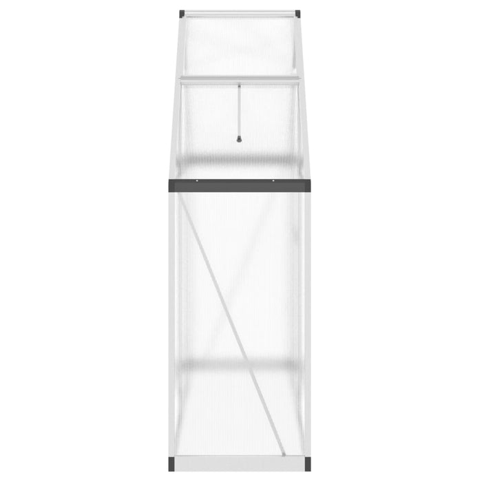 Greenhouse With Base Frame Silver 169X58X195 Cm Aluminium Abbpnol