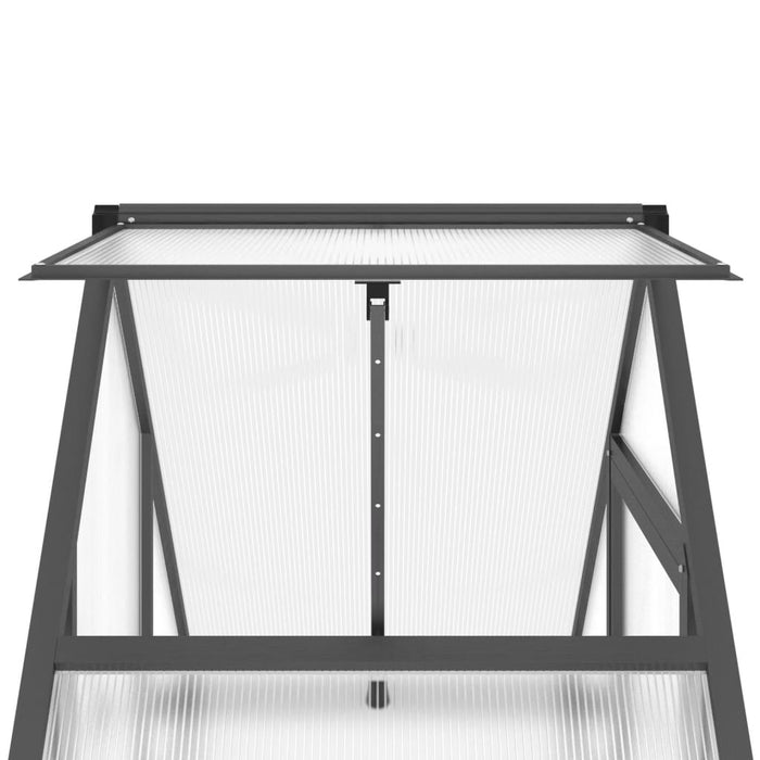 Greenhouse With Base Frame Anthracite 169X58X195 Cm Aluminium Abbpnon