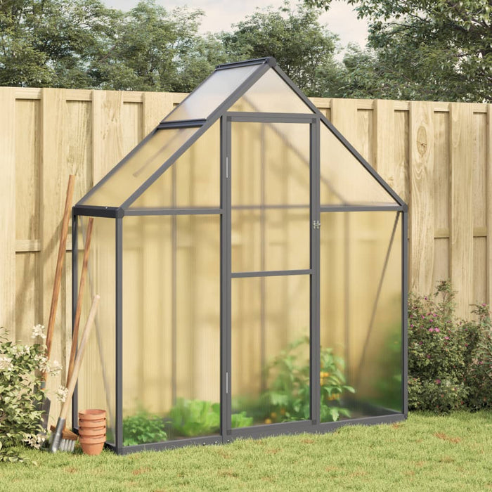 Greenhouse With Base Frame Anthracite 169X58X195 Cm Aluminium Abbpnon