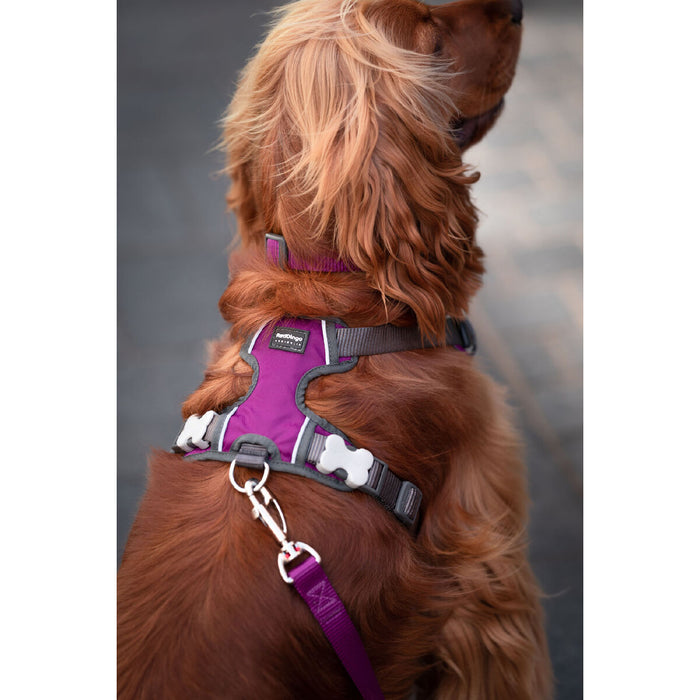 Dog Harness By Red Dingo Dingo Purple Xs