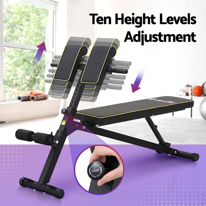 Roman Chair Adjustable Weight Bench Strength Training Preacher Curls