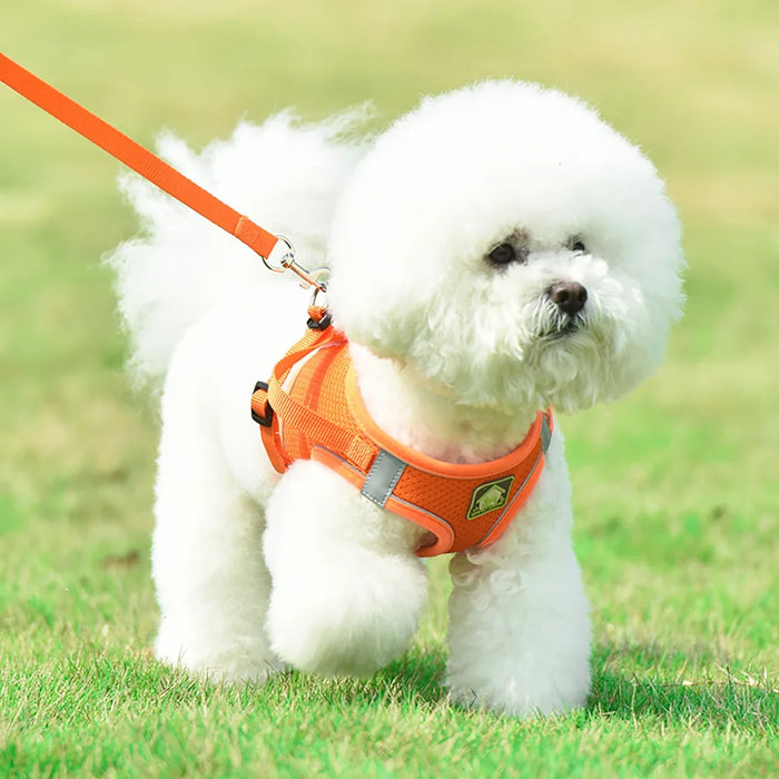 Reflective Vest Harness For Small Medium Dogs