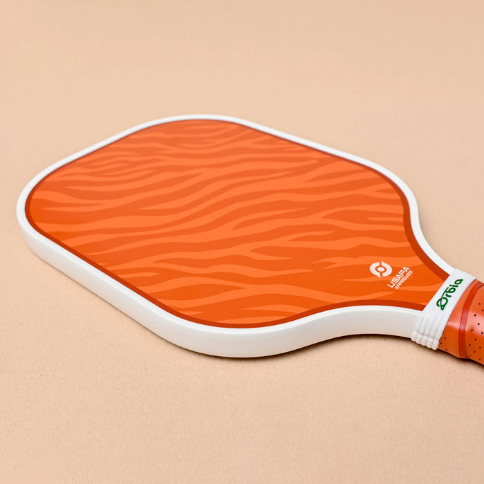 Beginner Pickleball Paddle Set Net Bag 2 Fiberglass Paddles 4 Balls Honeycomb Core