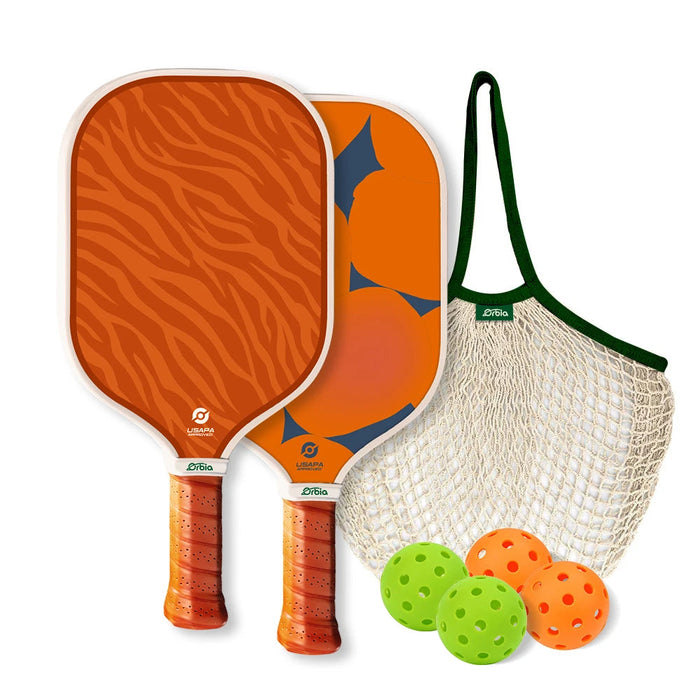 Fiber Glass Pickleball Paddle Set 2 Paddles 4 Balls Net Bag