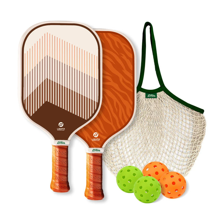 Beginner Pickleball Paddle Set Net Bag 2 Fiberglass Paddles 4 Balls Honeycomb Core