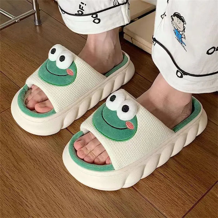 Winter Cartoon Frog Slippers