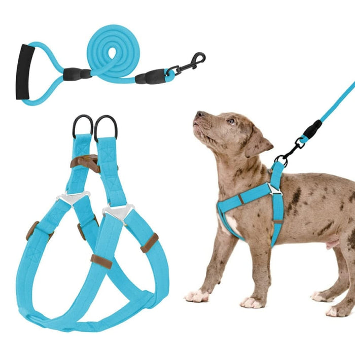 Adjustable Comfortable Neck Balance Pet Halter Harnesses