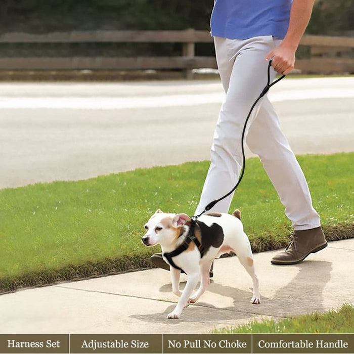 Adjustable Comfortable Neck Balance Pet Halter Harnesses