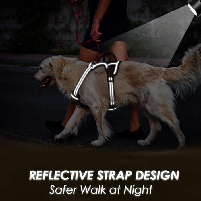 Adjustable Easy Control Handle Reflective Soft Padded Dog