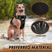 Adjustable Easy Control Handle Reflective Soft Padded Dog