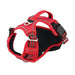 Adjustable Easy Control Handle Reflective Soft Padded Dog