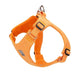 Adjustable Eco-friendly Recycled Pet Harness