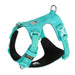 Adjustable Light Weight Harness For Dogs