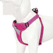 Adjustable Reflective Pet Harness