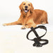 Adjustable Strap Leather Dog Harness